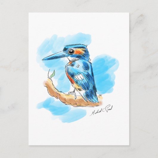 Kingfisher Postkarte (Vorderseite)