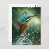 Kingfisher-Postkarte Postkarte (Vorne/Hinten)