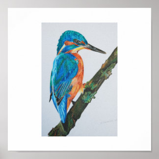 Kingfisher Print - wählen Sie Ihr Papier und Rahme Poster