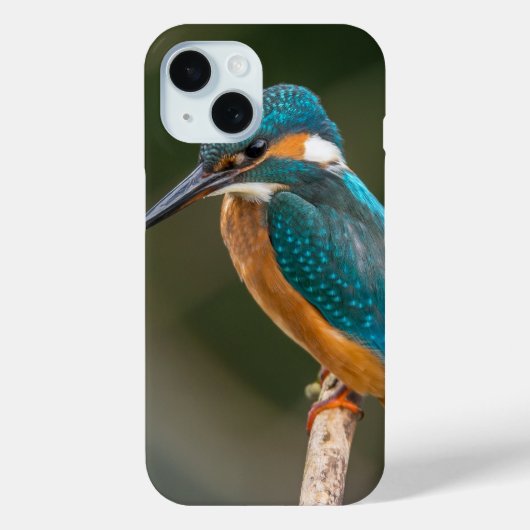 Kingfisher Profile Foto Case-Mate iPhone Hülle (Rückseite)