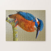 Kingfisher Puzzle (Horizontal)