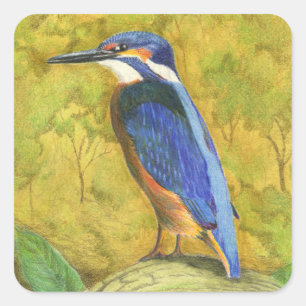 Kingfisher Quadratischer Aufkleber