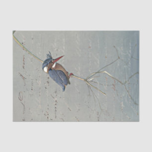 Kingfisher Reflection French Script Vintag Bird Seidenpapier