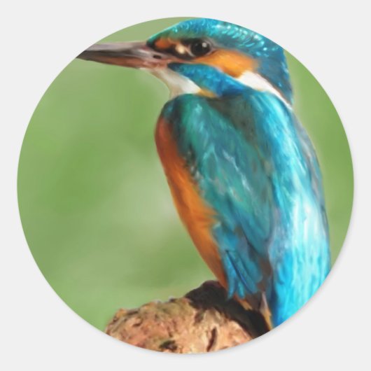 Kingfisher Runder Aufkleber (Vorderseite)