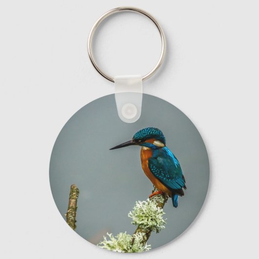 Kingfisher Schlüsselanhänger/Keyring Schlüsselanhänger (Vorderseite)