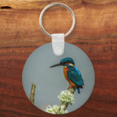 Kingfisher Schlüsselanhänger/Keyring Schlüsselanhänger (Vorderseite)