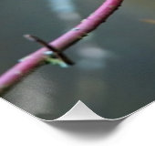 Kingfisher sitzend auf einem Zweig Poster (Ecke)