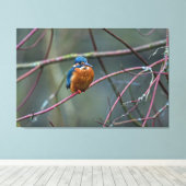 Kingfisher v2 leinwanddruck (Insitu (Holzboden))