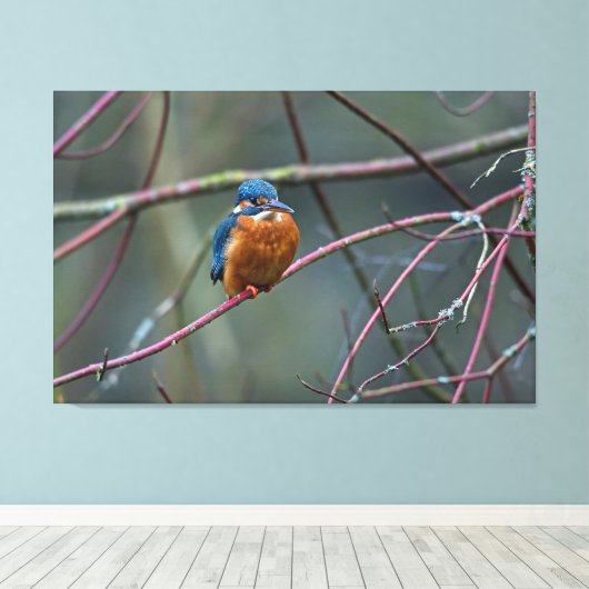 Kingfisher v2 leinwanddruck (Insitu (Holzboden))