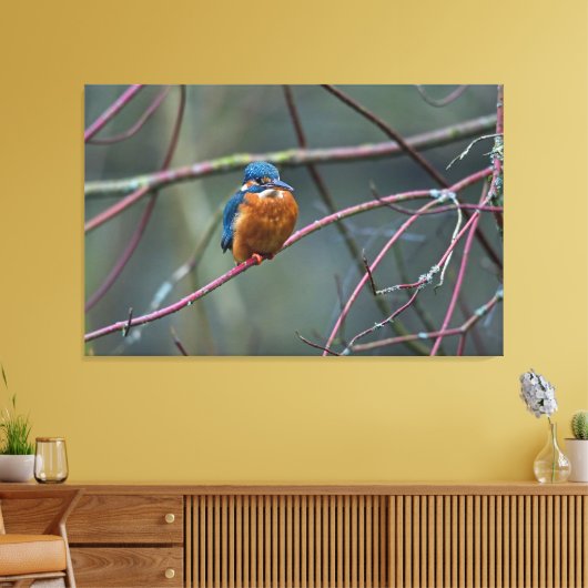 Kingfisher v2 leinwanddruck (Insitu (Wohnzimmer))