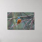 Kingfisher v2 leinwanddruck (Vorderseite)