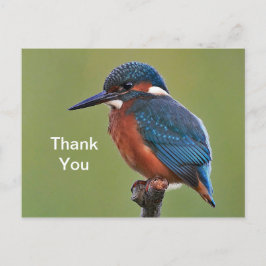 Kingfisher Vielen Dank Postcard Postkarte