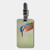 Kingfisher-Vogel. Gepäckanhänger (Vorderseite vertikal)