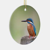 Kingfisher-Vogel. Keramikornament (Rechts)