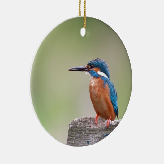 Kingfisher-Vogel. Keramikornament (Rechts)