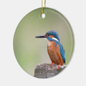 Kingfisher-Vogel. Keramikornament (Links)