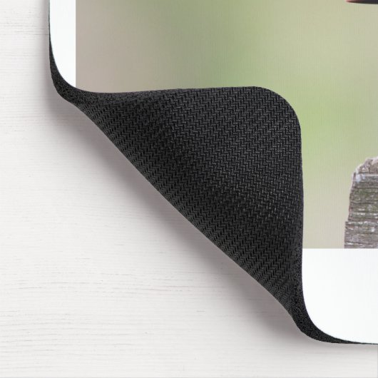 Kingfisher-Vogel. Mousepad (Ecke)