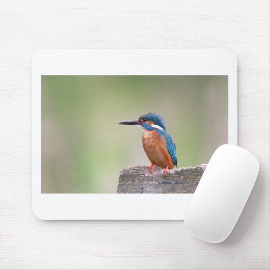 Kingfisher-Vogel. Mousepad (Mit Mouse)