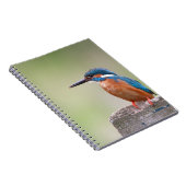 Kingfisher-Vogel. Notizblock (Rechte Seite)