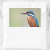 Kingfisher-Vogel. Rechteckiger Aufkleber (Tasche)