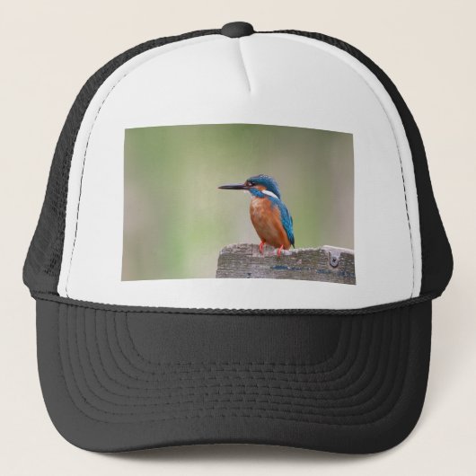 Kingfisher-Vogel. Truckerkappe (Vorderseite)