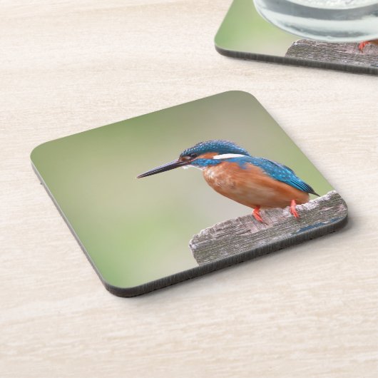 Kingfisher-Vogel. Untersetzer (Linke Seite)