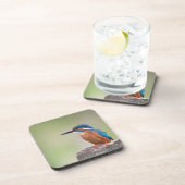 Kingfisher-Vogel. Untersetzer (Rechte Seite)