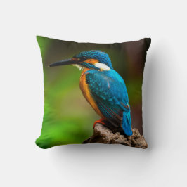 Kingfisher-Vogelkissen Kissen