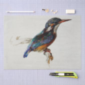 Kingfisher (von John Ruskin) Seidenpapier (Handwerk)