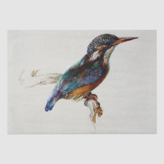 Kingfisher (von John Ruskin) Seidenpapier (Vorderseite)