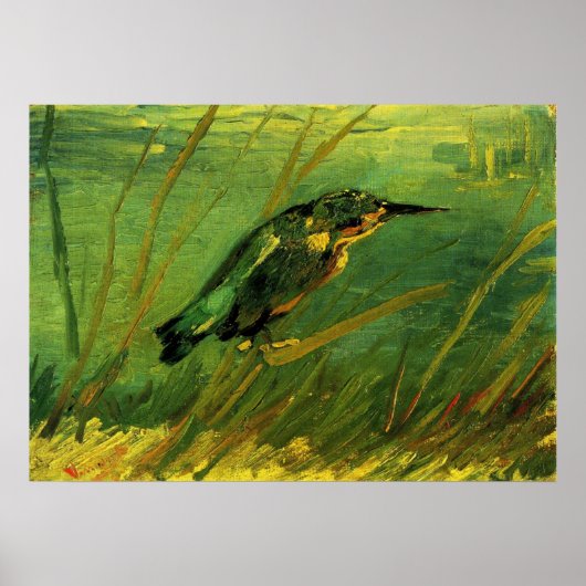 Kingfisher von Vincent van Gogh Poster (Vorne)