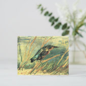Kingfisher von Vincent van Gogh Postkarte (Stehend Vorderseite)