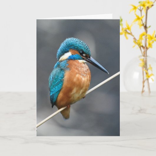 Kingfisher wartete. karte (Gelbe Blume)