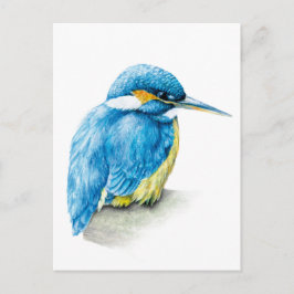 Kingfisher Wasserfarbenpostkarte Postkarte