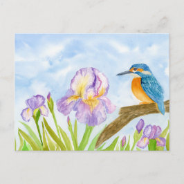 Kingfisher with Purple Irises Postkarte