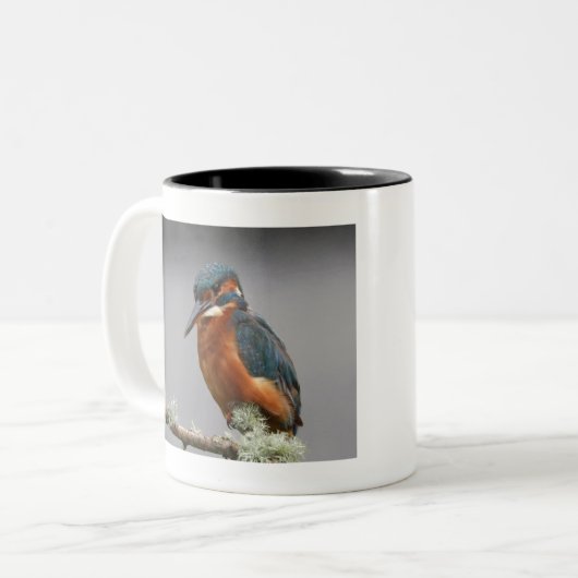 Kingfisher Zweifarbige Tasse (Vorderseite Links)