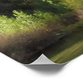 Kings Canyon National Park Poster (Ecke)