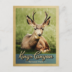 Kings-Canyon-Nationalpark-Hirsch Vintage Postkarte