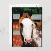 Kings Extravagant Girl Postkarte (Vorne/Hinten)