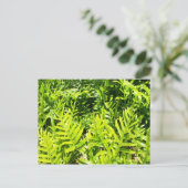 King's Fern Postcard Postkarte (Stehend Vorderseite)