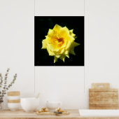 King's Ransom, Hybrid-Tee-Rose Poster (Küche)