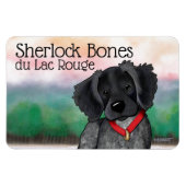 KiniArt Black Roan Brittany Magnet (Horizontal)