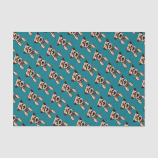 KiniArt Border Terrier Seidenpapier (Vorderseite)
