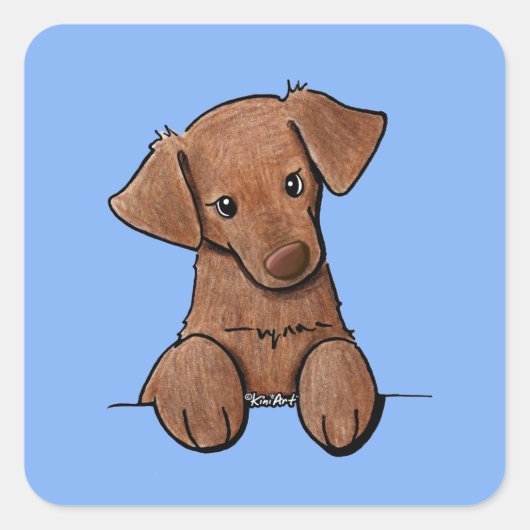 KiniArt Chocolate Labrador Quadratischer Aufkleber (Vorderseite)
