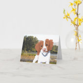 KiniArt Orange Bretagne Card Karte (Gelbe Blume)