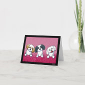 KiniArt Shih Tzu Trio Dankeskarte (Vorderseite)