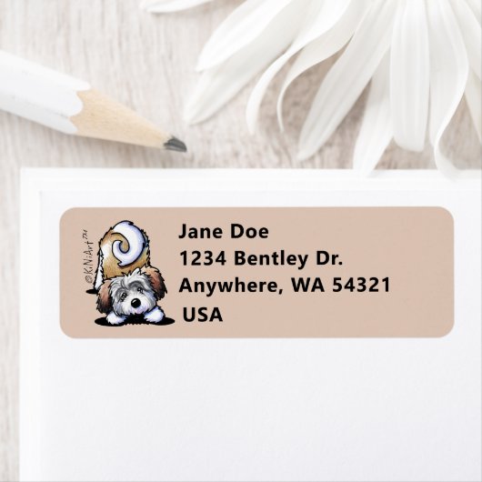 KiniArt spielend Havanese (Insitu)