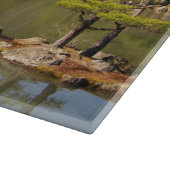 Kinkaku-ji 金 閣 Tempel 寺 Goldenen Pavillon Schneidebrett (Ecke)