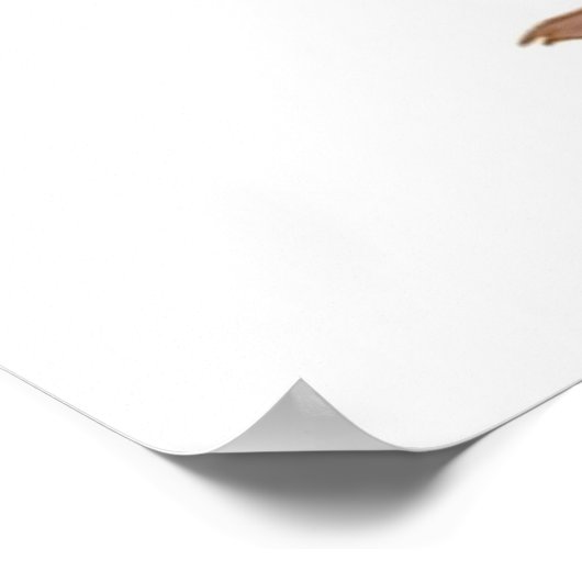 Kinky Otters Poster (Ecke)