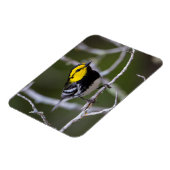Kinney Landkreis, Texas. Warbler Magnet (Linke Seite)